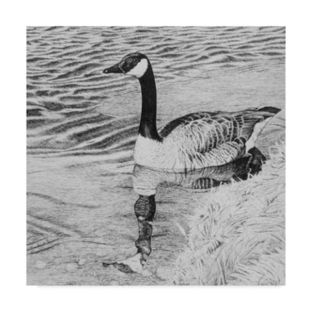 Rusty Frentner 'Lone Goose' Canvas Art,18x18